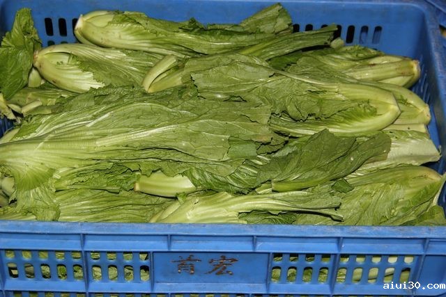 zc580206 蔬菜配送