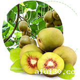 品种繁多！蔬菜大全来袭！