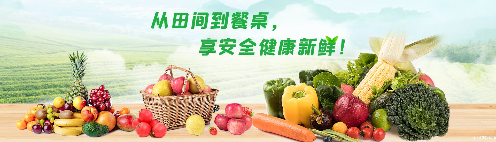 广州aiui30蔬菜配送公司