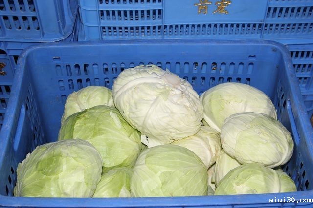 东莞市2025年第34周市场价格监测简况