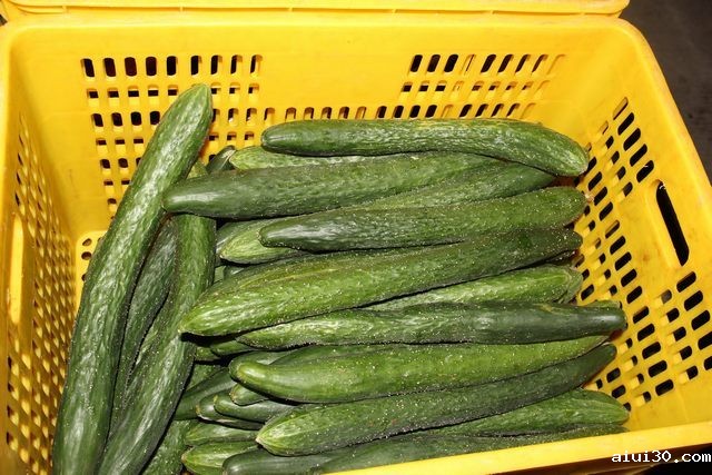 关于蔬菜配送合同的博客文章