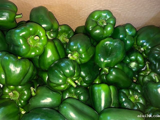 鲜活送到家！生鲜企业优质服务