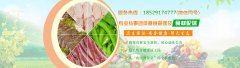 广州蔬菜配送有哪些好公司？