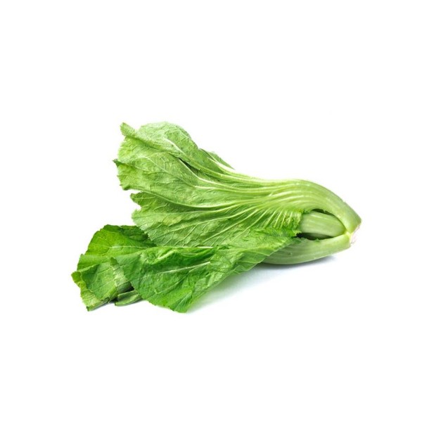 芥菜