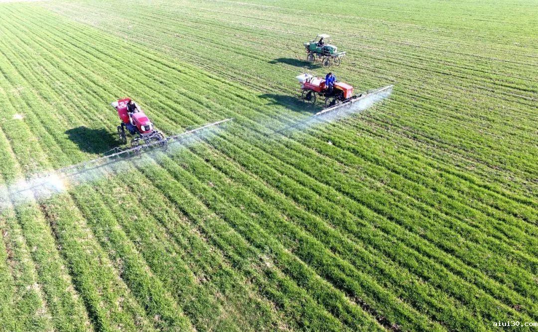 在广州蔬菜配送行业里 蔬菜不一定是越新鲜越好？