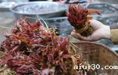 广州生鲜蔬菜配送：三种蔬菜吃了可能会导致血压会突然飙升！