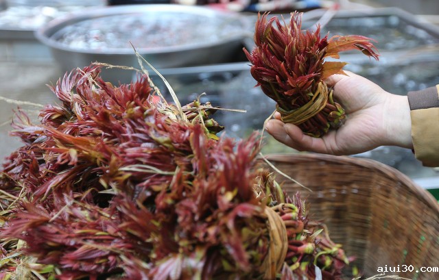 三种蔬菜或是高血压的“命门”,管不住嘴,血压可能会突然飙升