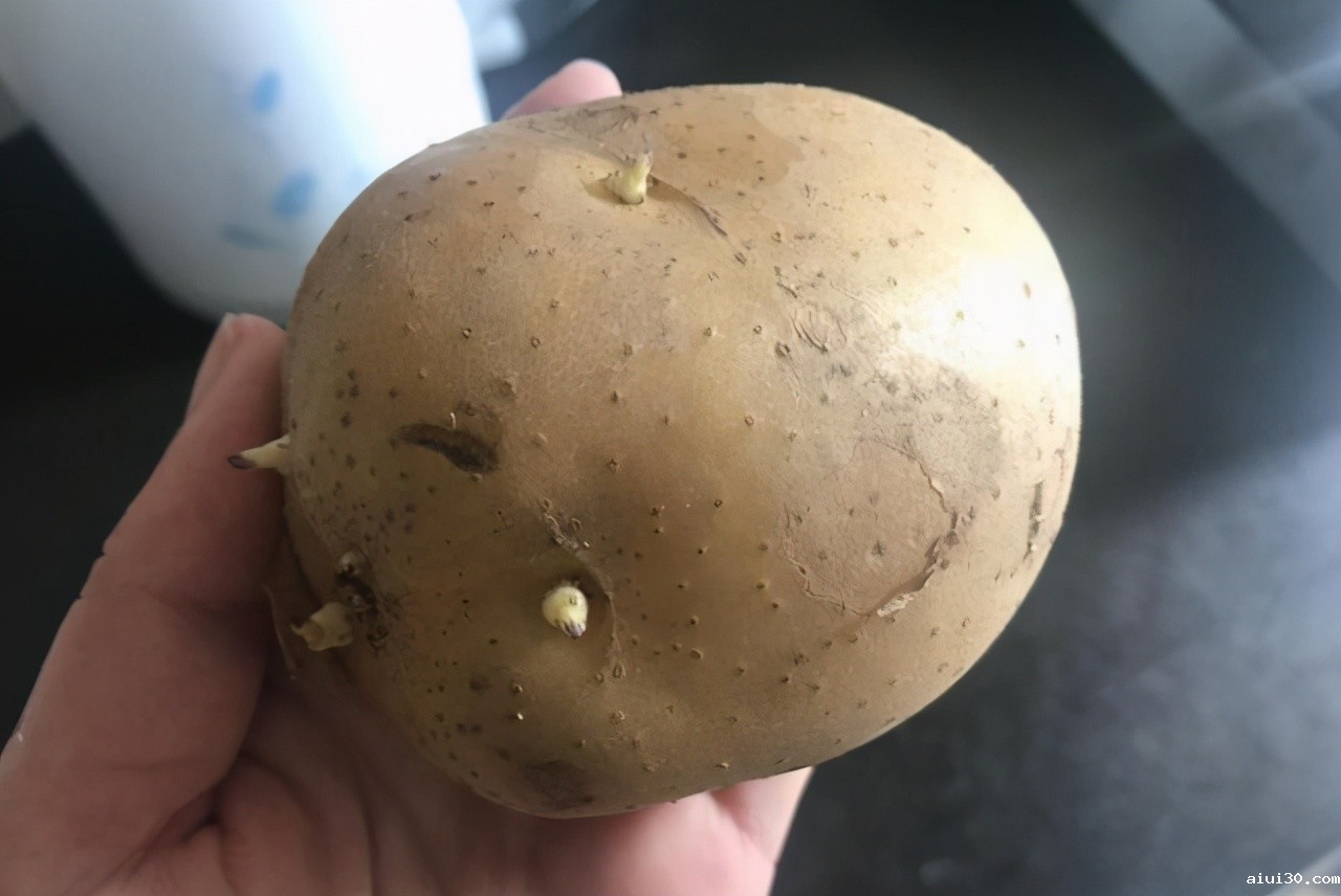 广州新鲜蔬菜配送：夏季这4种蔬菜不要碰，易含毒素不好处理