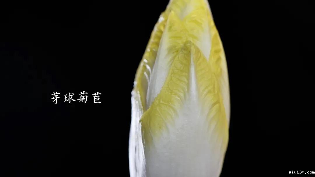 网上蔬菜配送:价格昂贵的芽球菊苣,这么难种的菜究竟能挣到钱吗?