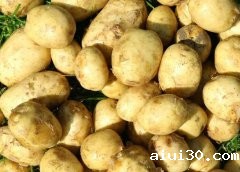 广州蔬菜公司：你知道生活中的土豆主要用途有哪些吗？