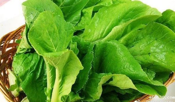 食堂生鲜配送:蔬菜热量低但营养价值绝对不低!