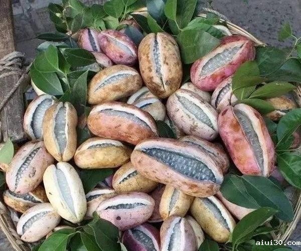 生鲜蔬菜配送中心：农村常见的野果子，你都吃过哪几种呢？