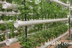你知道我们国家为什么要大力发展无土栽培吗？