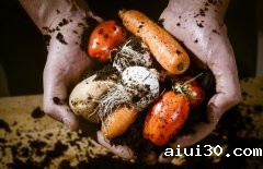 广州蔬菜配送公司餐饮业组织结构