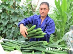 广州蔬菜配送公司为您提供优质的服务